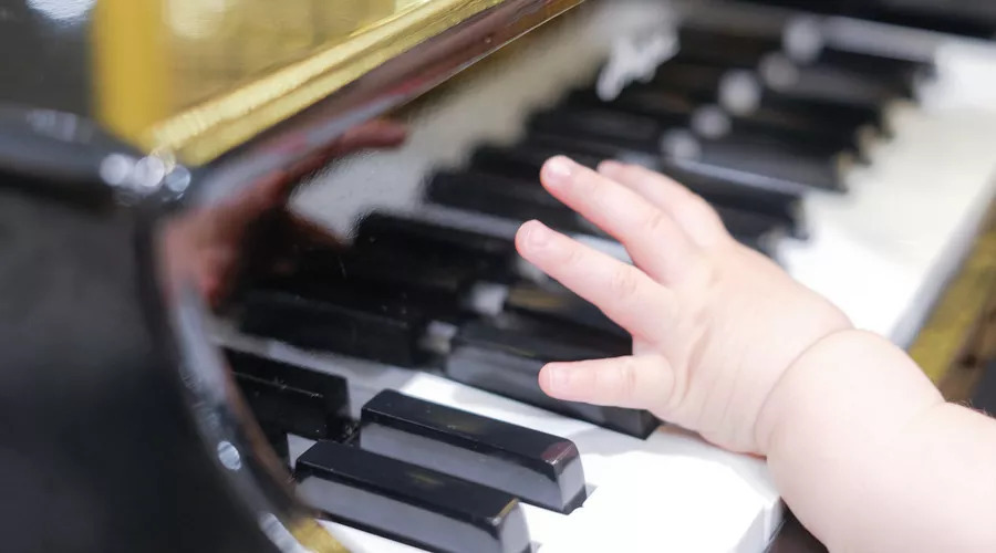 早教一定要看的几部动画,早教真的有必要报吗