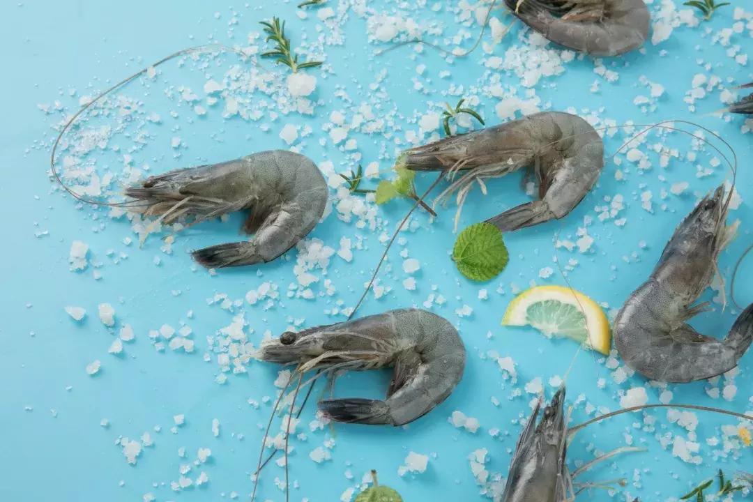 品味UP!河马总动员,一纸攻略打通河马生活节所有关卡