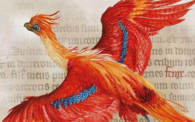 哈利波特小说的冷知识,哈利波特系列中的冷知识