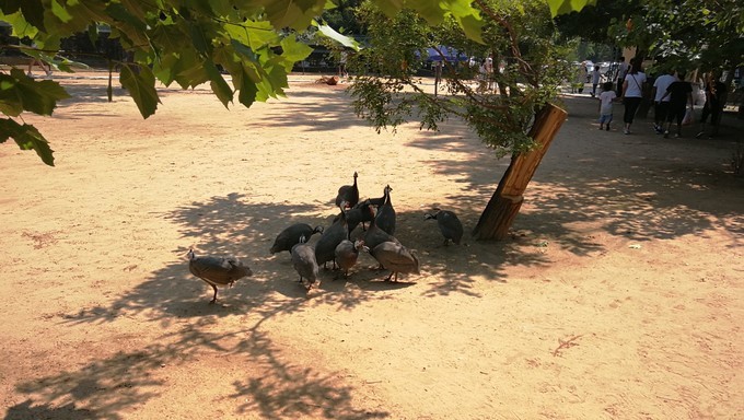 寻秦记旅游,寻秦记自驾旅游