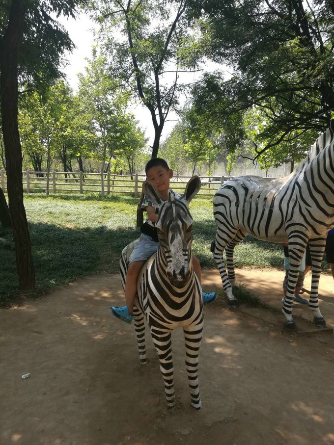 寻秦记旅游,寻秦记自驾旅游