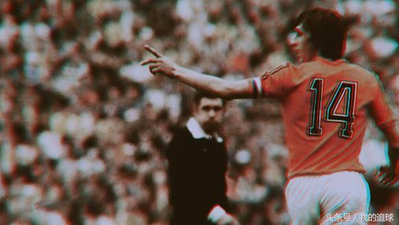 郁金香什么时候绽放,郁金香凋零