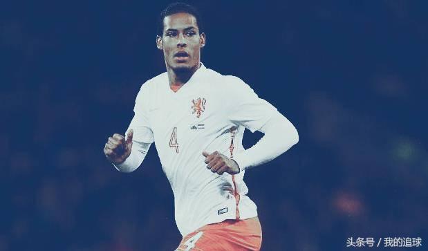 郁金香什么时候绽放,郁金香凋零