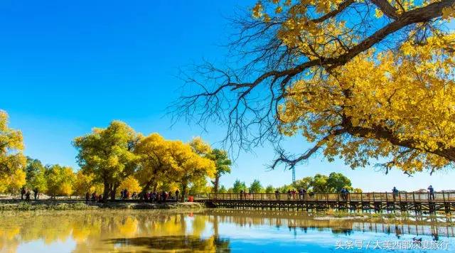 额济纳旗旅游安排时间表,额济纳旗旅行全攻略