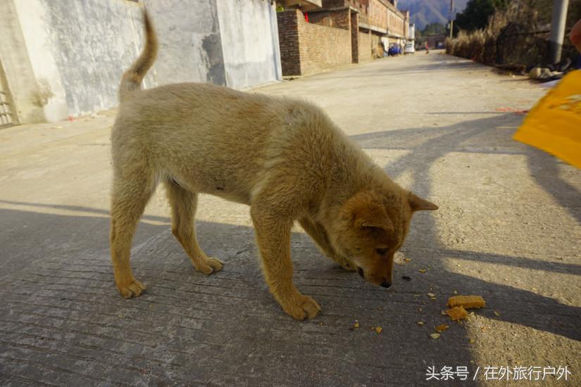 将轻量化进行到底——20L背包的千八雪地露营