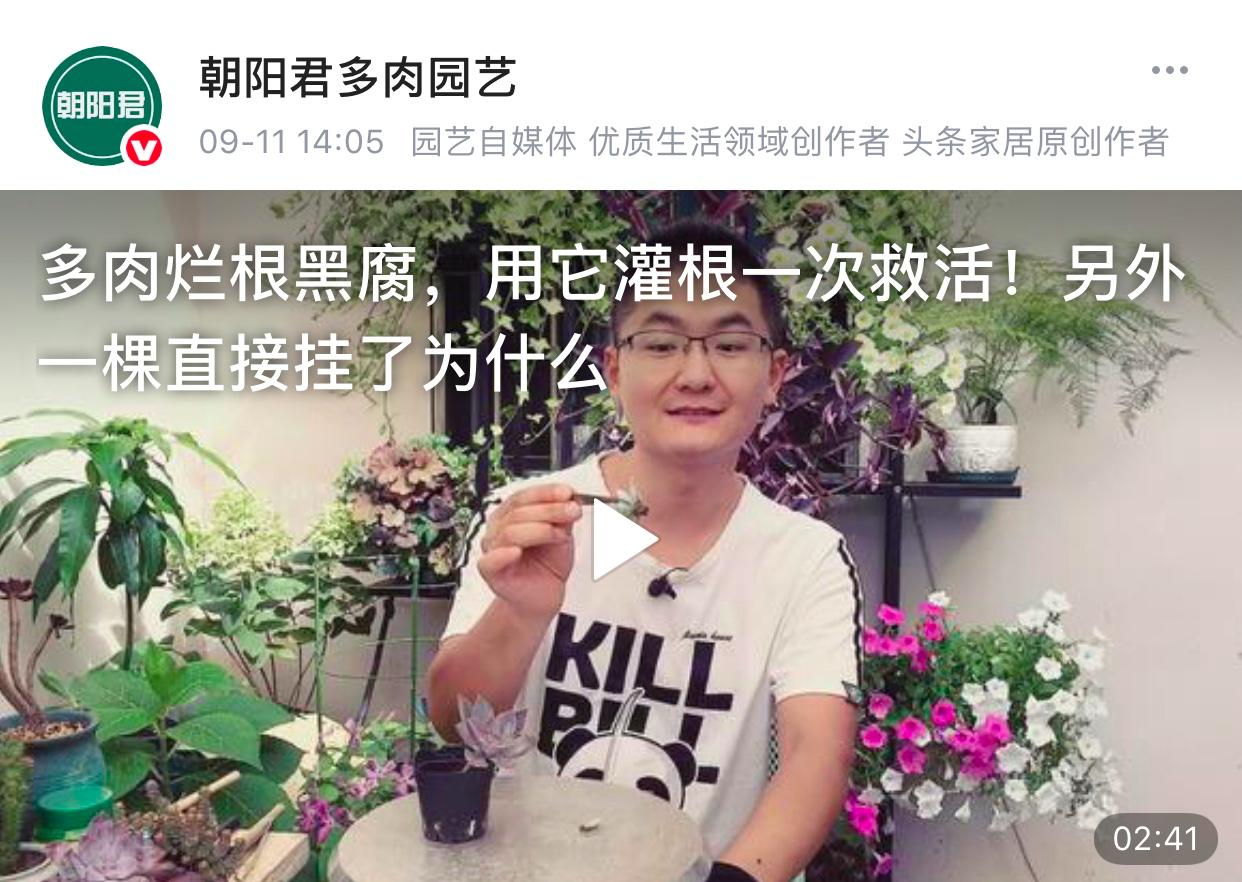 生活视频作者运营全攻略——从推荐、涨粉到收益快拿好～