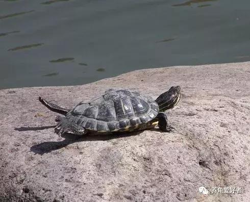 别让你的爱成为伤害,别让你的爱被当作借口