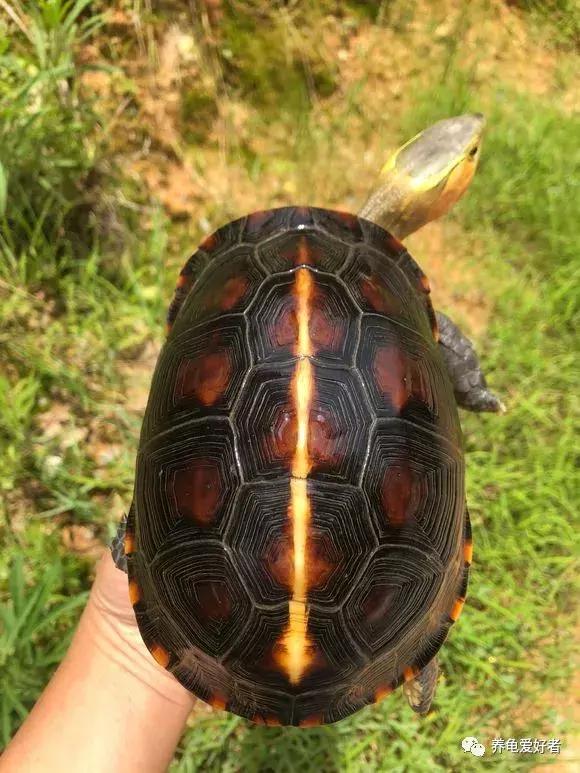 别让你的爱成为伤害,别让你的爱被当作借口