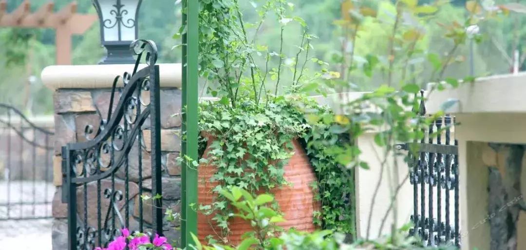 这些民宿藏着千岛湖99%的美,蓝天白云、绿水红叶,邂逅最美秋色