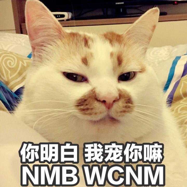猫咪喜欢和你睡的6个原因,猫喜欢和你一起睡