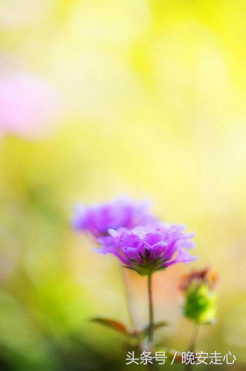 自古亲情留不住唯有套路得人心,自古深情留不住唯有套路得人心