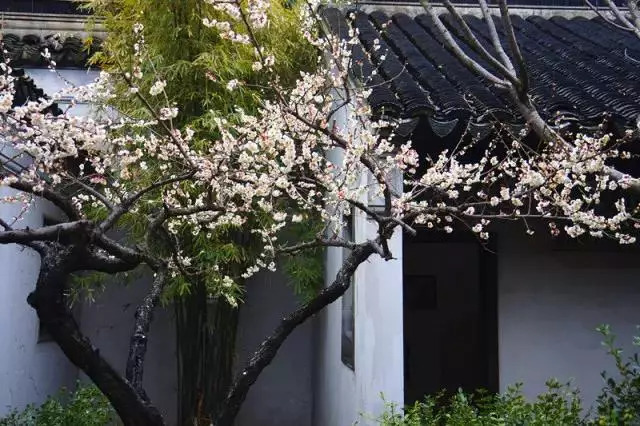 来木渎古镇感受乾隆,木渎古镇曾经的辉煌