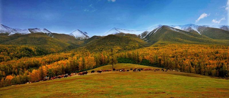 北疆环线10日游最新,北疆环线10日游旅游团