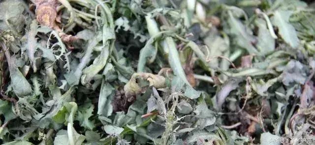 中药900味图解,一副中药30多味药是大方子吗