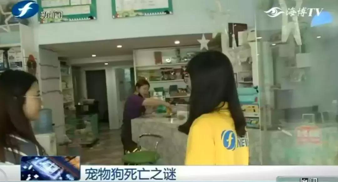 宠物店签订协议寄养死了怎么赔偿,为什么幼犬会在一夜之间莫名死亡