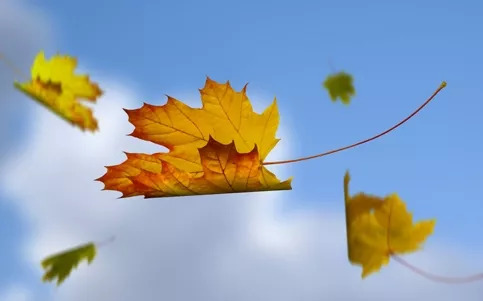 零基础学习普通话正确发音,学标准普通话发音