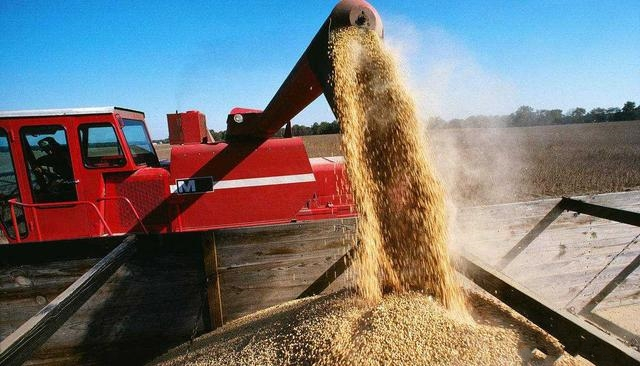 进口俄罗斯大豆好在哪难在哪？距离填补美订单仍有差距