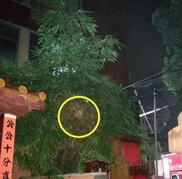 看到什么东西要远离,看到这些东西千万不要带回家