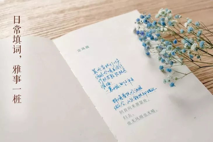 苏东坡东坡乐府,为何平生不快乐只因未读苏东坡