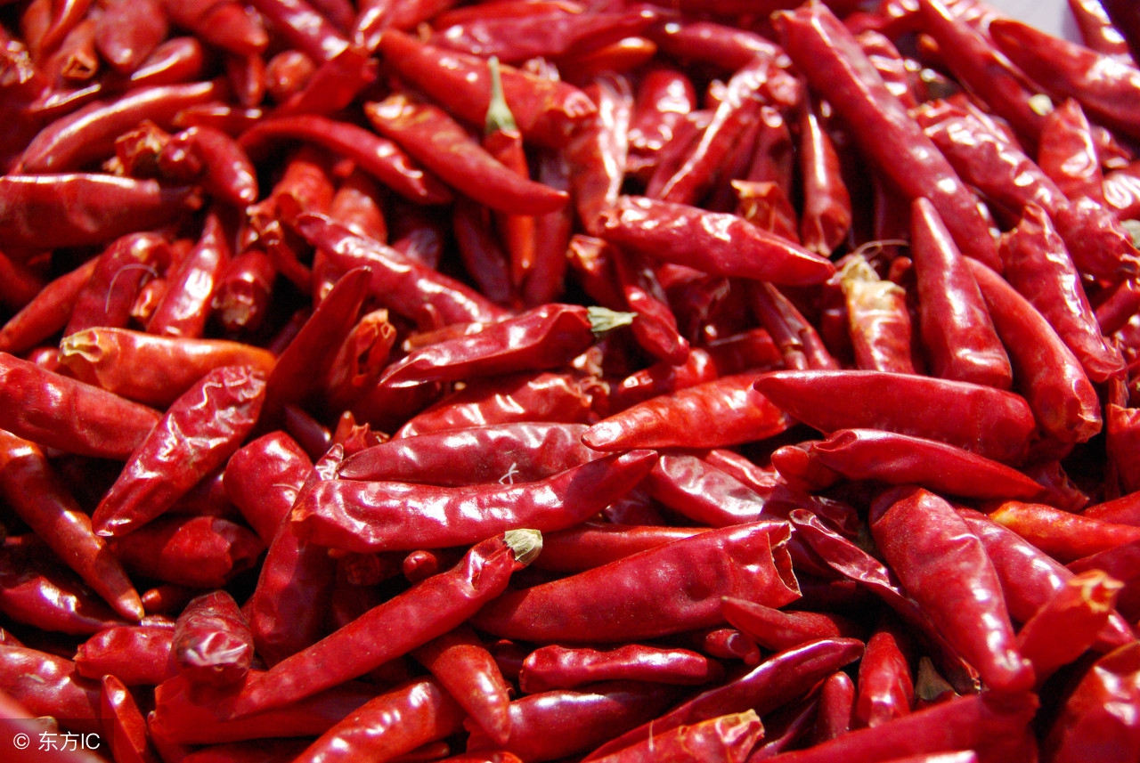 红油辣椒油商用餐饮专用红油,红油辣椒油的做法不需要辣椒面