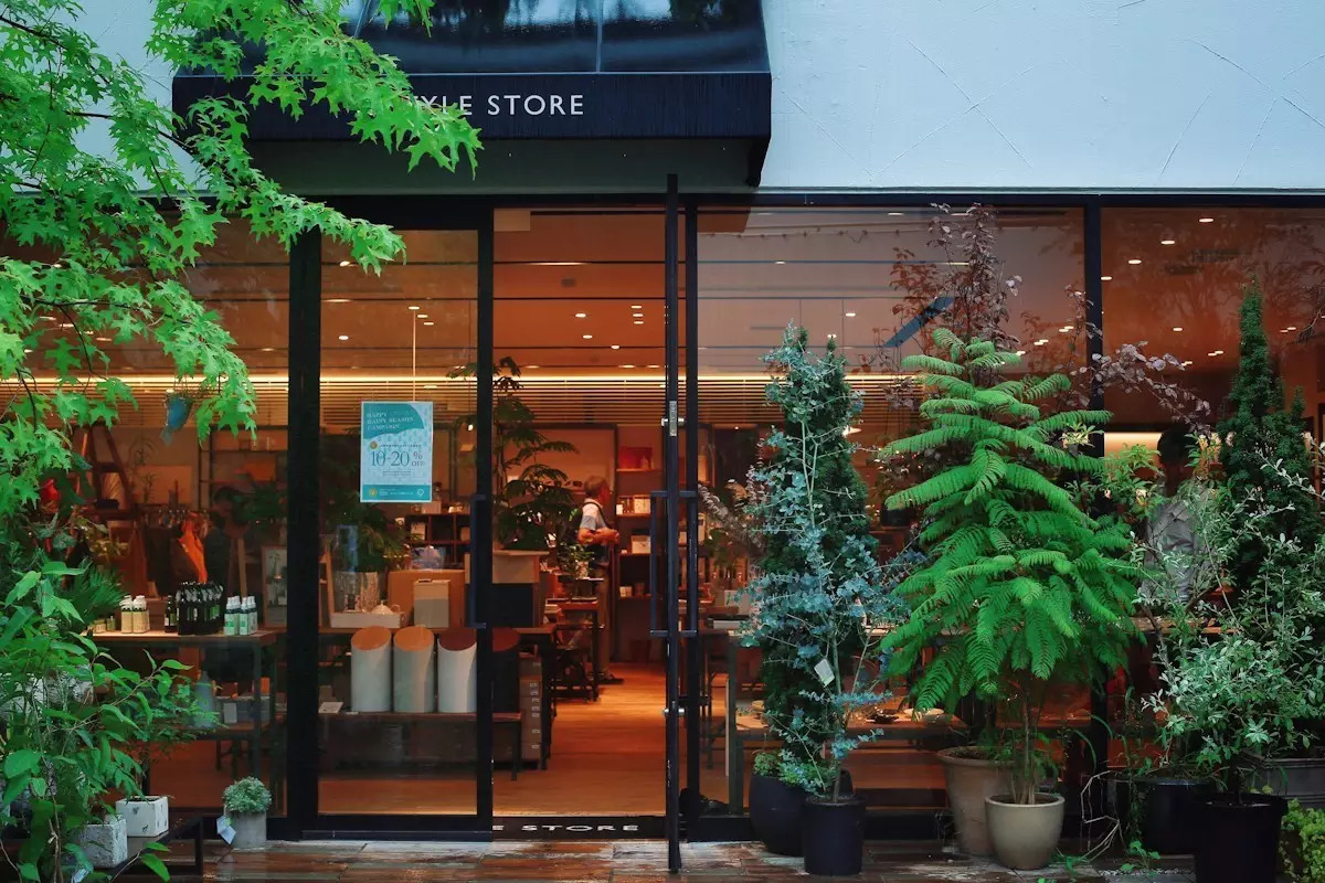 日本东京京都游记,生活在别处苏晴小说