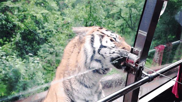 彭山景区免费政策,优待证去庐山景点全部免费吗
