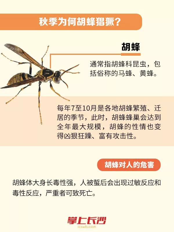 看到这几种东西千万不要捡,看到这些危险标志赶紧远离