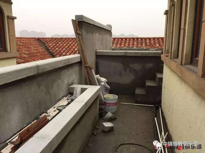 楼顶鱼池有哪些,屋顶鱼池的建造方法