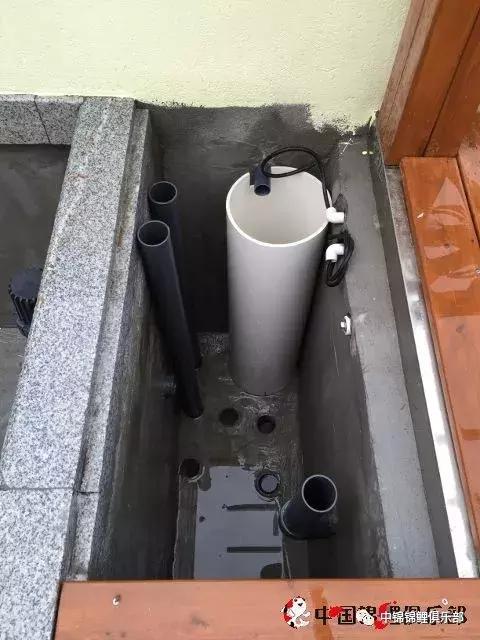 楼顶鱼池有哪些,屋顶鱼池的建造方法