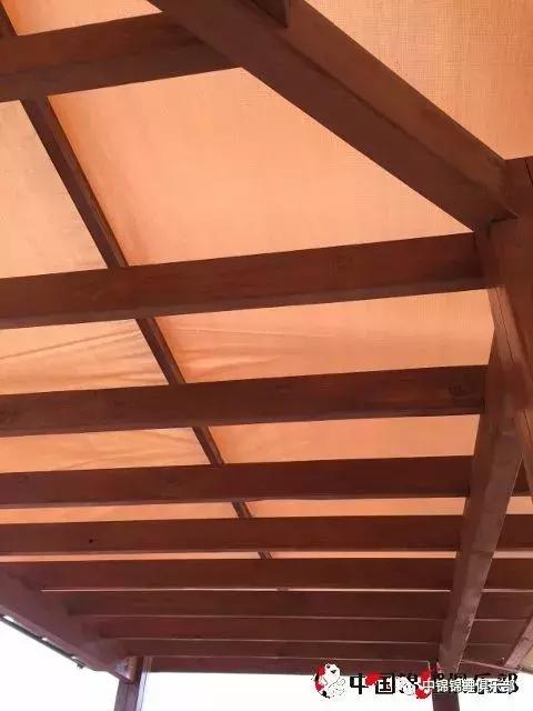 楼顶鱼池有哪些,屋顶鱼池的建造方法