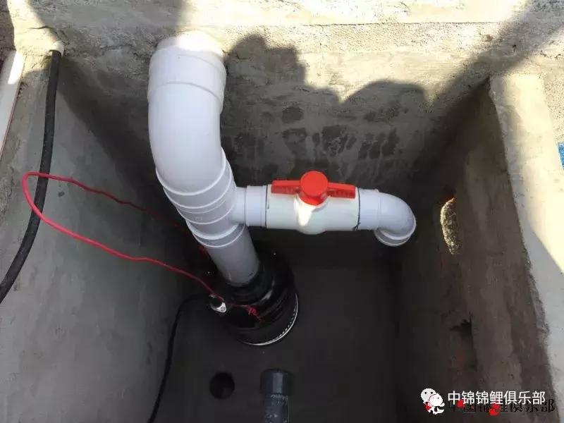 楼顶鱼池有哪些,屋顶鱼池的建造方法