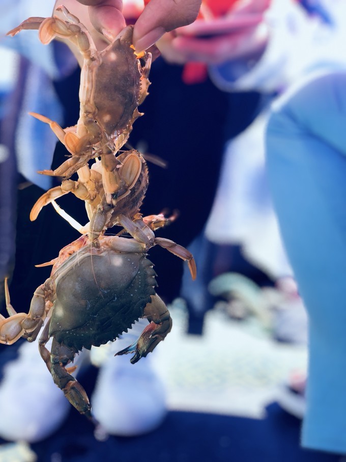 带你一起去嵊泗列岛看海,嵊泗列岛看海