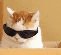 好用的啫喱面霜,科颜氏高保湿清爽啫喱面霜125ml