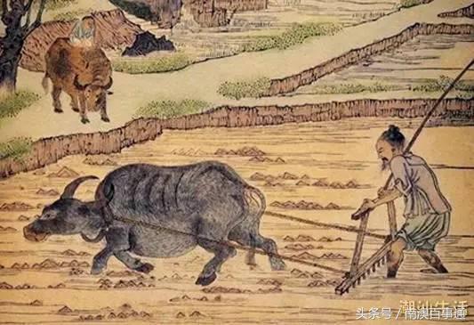 关于潮汕姿娘裤子的那点事儿，有点污……