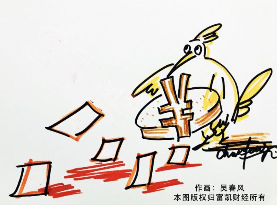 雪莱特终止定增原因,雪莱特概念股票