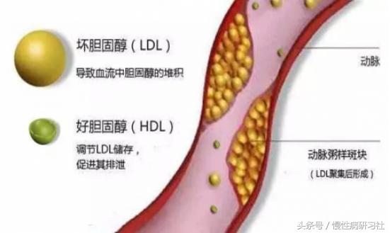 榴莲营养和弊端,榴莲有点硬吃了有害健康吗
