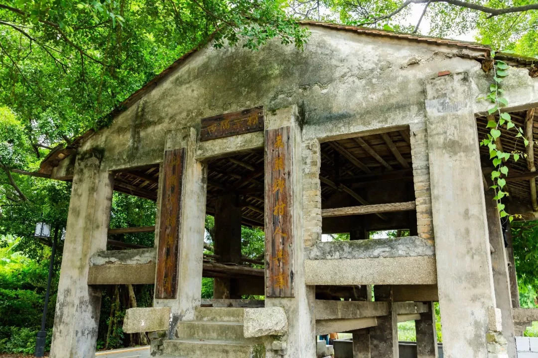 麻涌全域旅游发展,麻涌乡村旅游