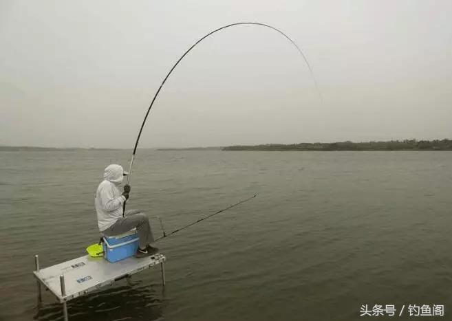 初学者如何选一条好的鱼竿,如何选择鱼竿最合适