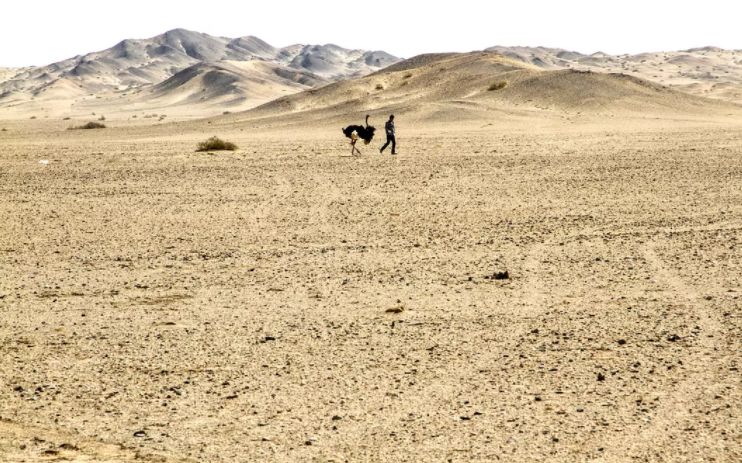 我跟王学兵和唐高鹏聊了聊，知道了拍一部中国西部片是怎样的体验