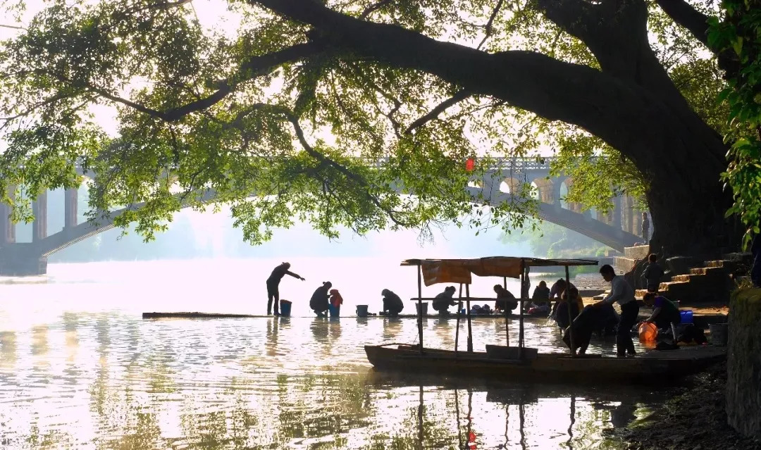 螺蛳粉征服世界,螺蛳粉征服全世界