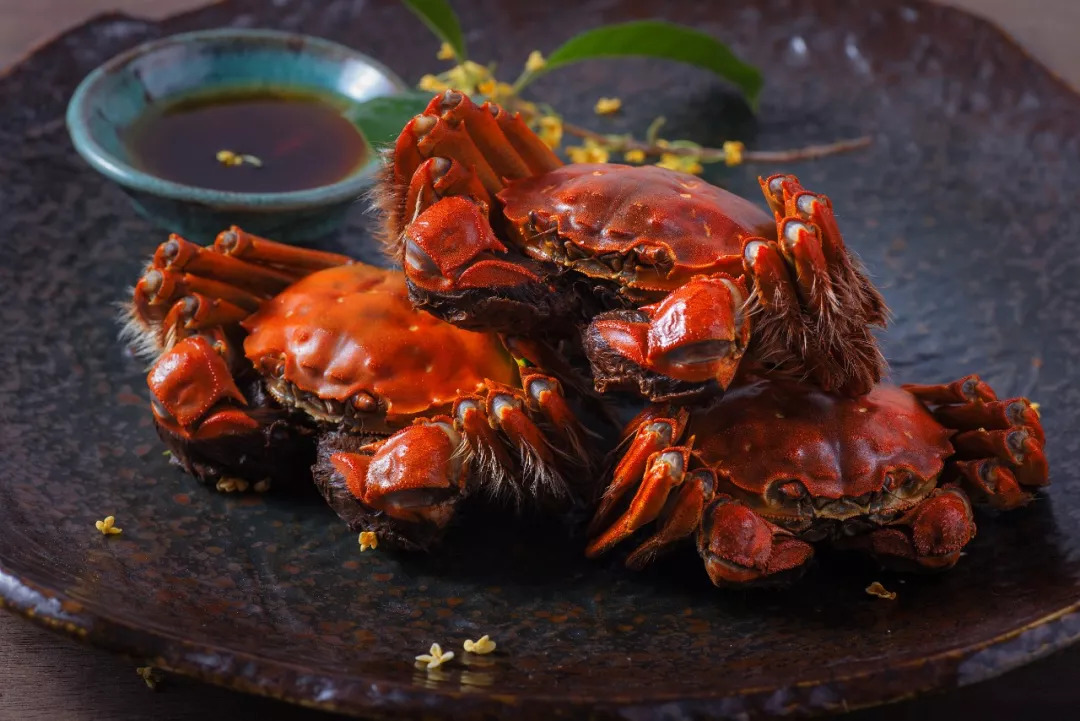 阳澄湖大闸蟹怎样辨真伪,阳澄湖大闸蟹官网辨别真假方法