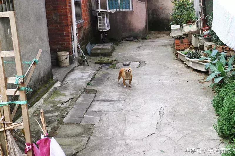 南京板桥有几个地方,南京板桥穷吗