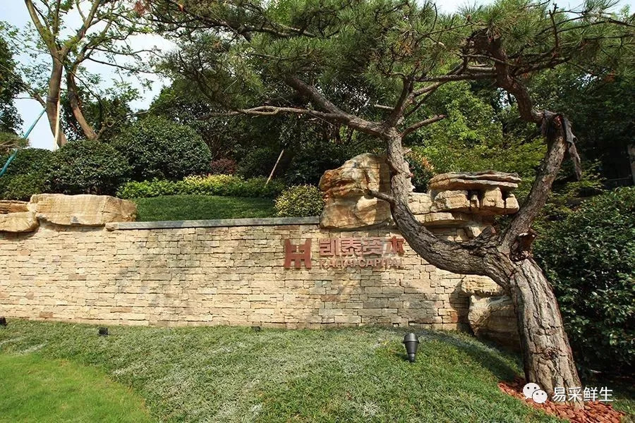 凯泰资本如何,凯泰资本排名