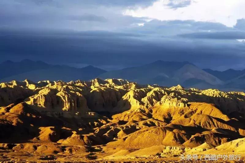 为什么阿里叫阿里地区,为什么阿里被称为拳王