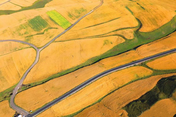 江布拉克的美景描述,风吹麦浪风景视频