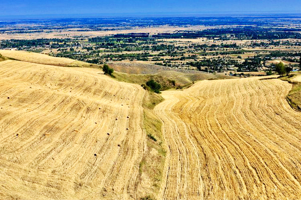 江布拉克的美景描述,风吹麦浪风景视频