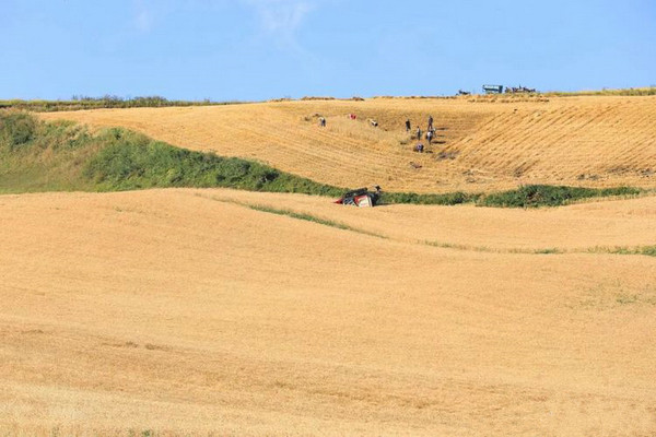 江布拉克的美景描述,风吹麦浪风景视频