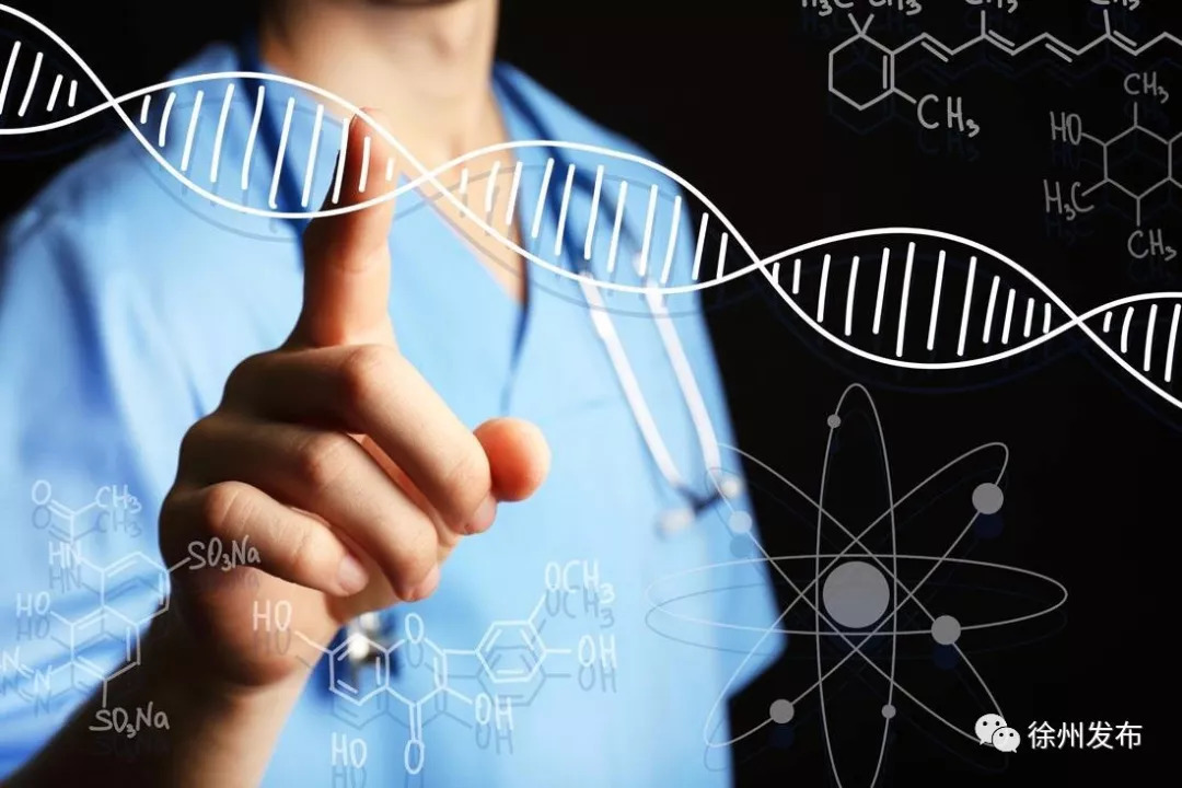 创下多个全国第一！经开区高端基因检测项目正式投产