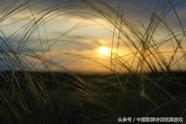 最经典伤感悲秋的10首古诗词,关于悲秋的诗句古诗词