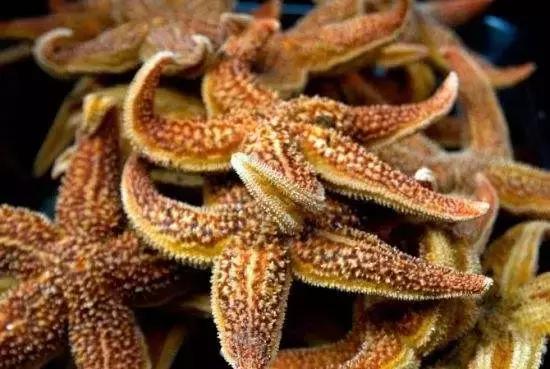 汕头人一般在哪吃海鲜,汕头人喜欢吃的海鲜